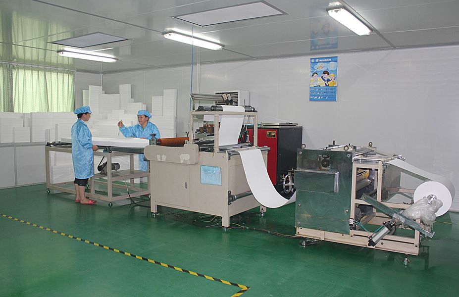 Κίνα Dongguan Ivy Purification Technology Co., Ltd. 